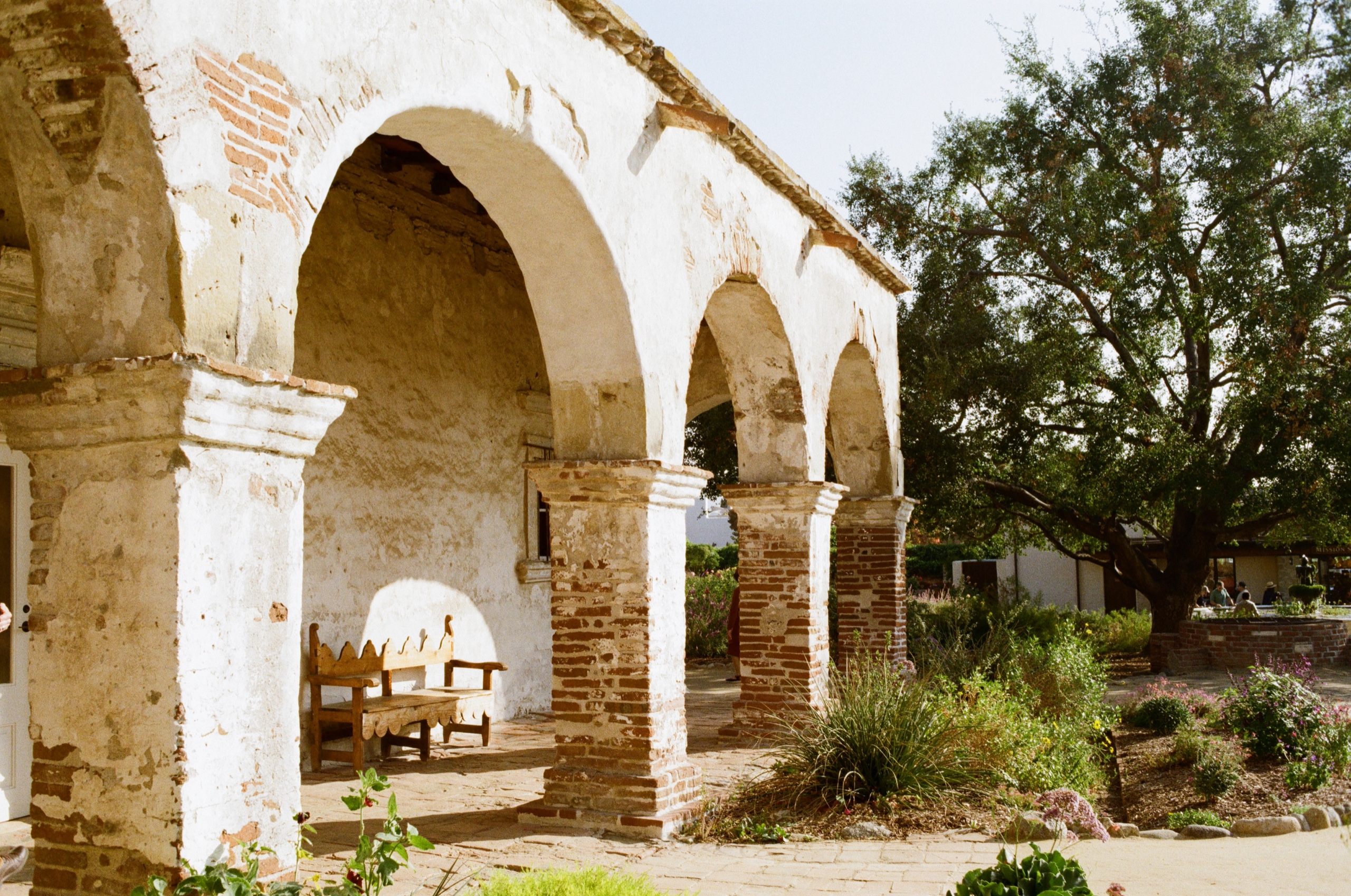 Film photo of the arched arcade and an oak tree at Mission San Juan Capistrano